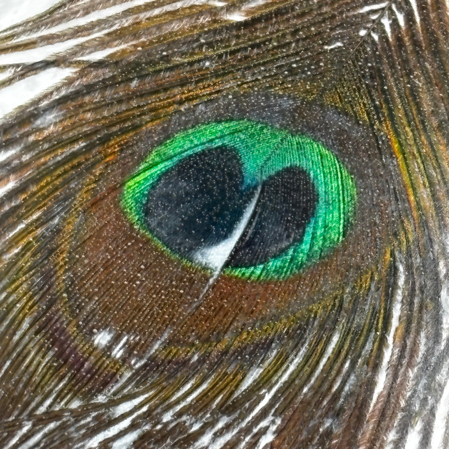 Olive Wood Elegance Serving Board with Peacock Feathers image 1